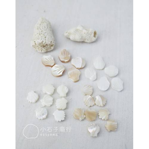 白色貝殼-扇貝12mm (1入)