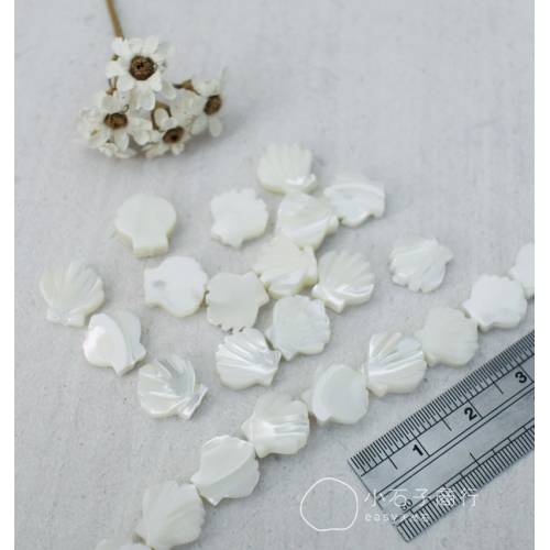 白色貝殼-扇貝10mm (15入)